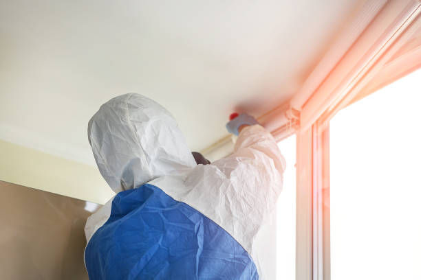 Mold Remediation for Vacation Homes